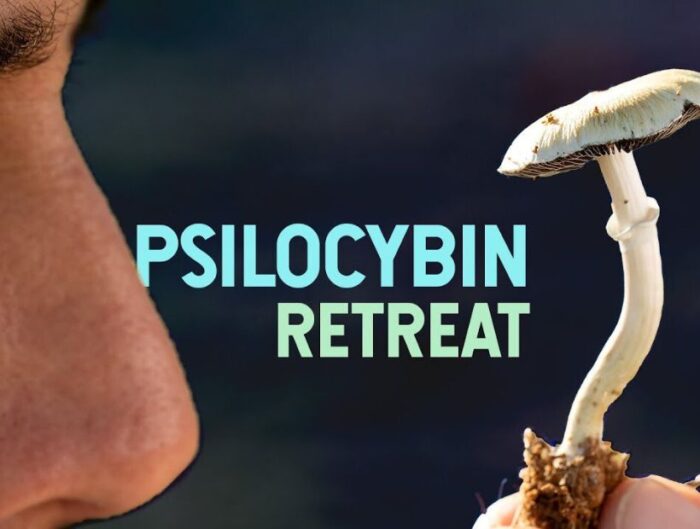 Psilocybin Retreat inside the Netherlands: The New Era of Psychedelic and Therapeutic Tourism thumbnail